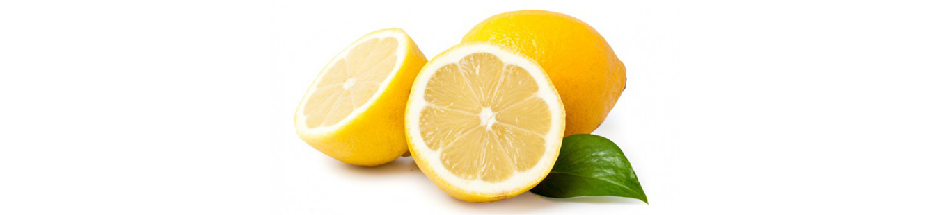 turkomp - limon