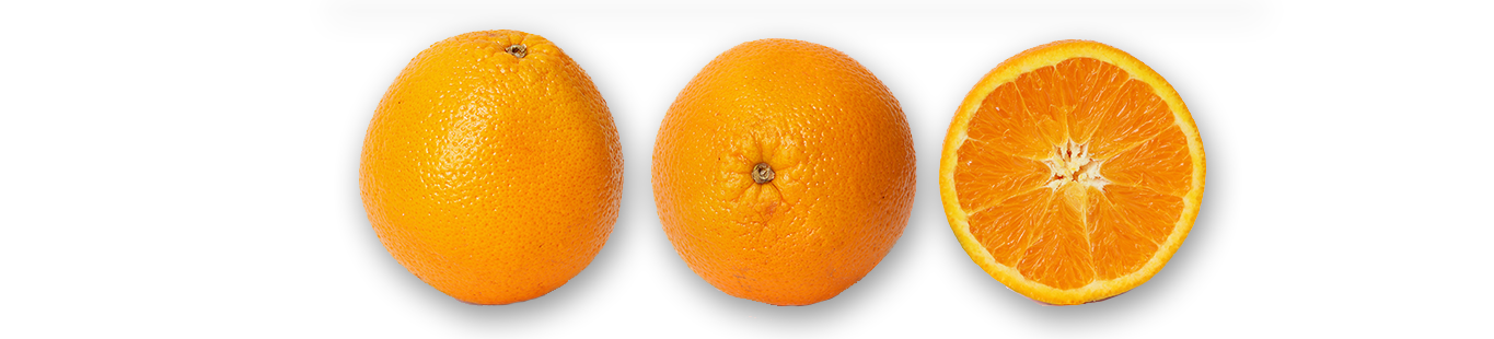 turkomp - portakal