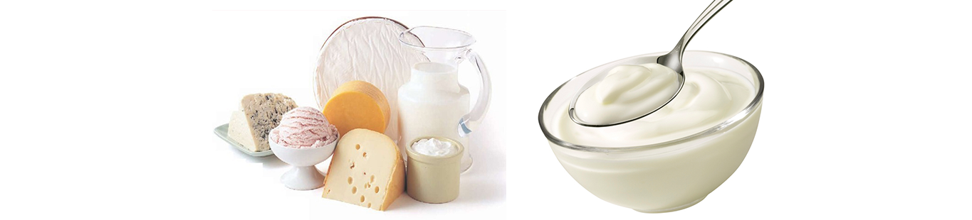 turkomp - süt ürünleri